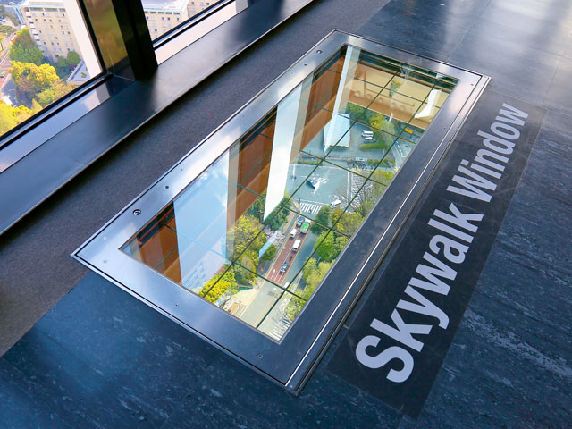 Skywalk Window